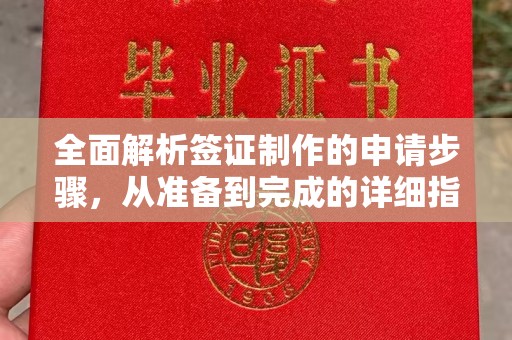 长宁全面解析签证制作的申请步骤，从准备到完成的详细指南